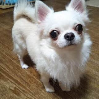 素敵なご縁を頂きました☺️