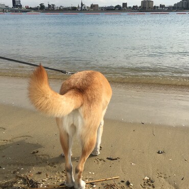 海怖い