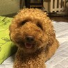 にしみち