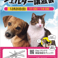 シェルター譲渡会