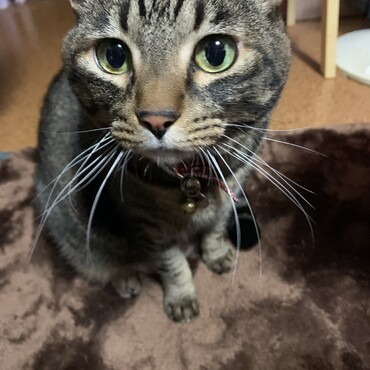 の写真