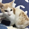 ルーク