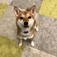 すず