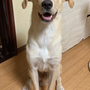 この笑顔！やんちゃくちゃまっくす何か企んでる??（笑）