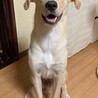 この笑顔！やんちゃくちゃまっくす何か企んでる??（笑）