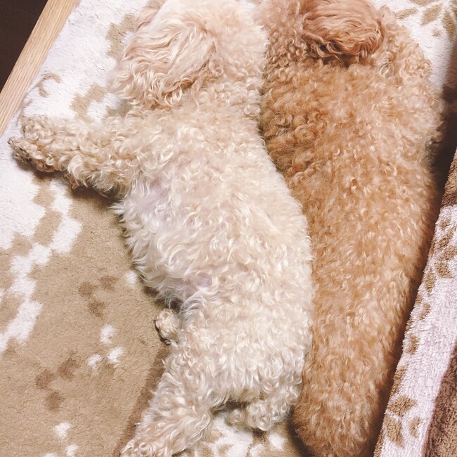 　なつみのカバー写真