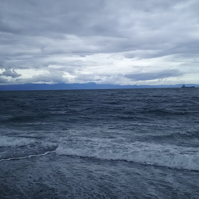 ニャッするのカバー写真