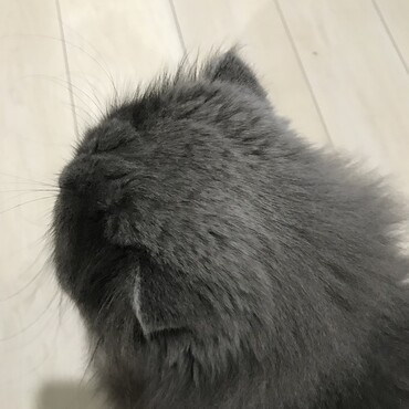 の写真