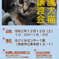 奈良市保護犬猫譲渡会