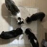 の写真