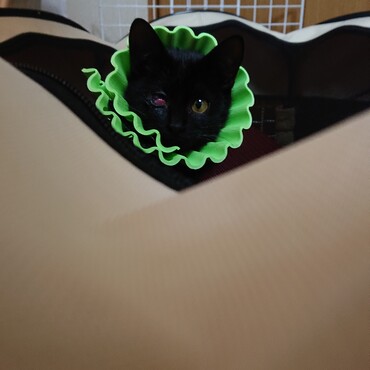 つゆ兄～！！あたし薬イヤイヤで今隠れちょんに～☆見えてないよね♪ｳﾌﾌ