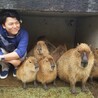 なおきとともみ