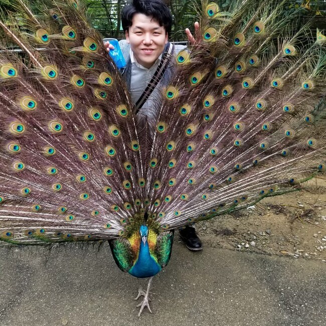 なおきとともみのカバー写真
