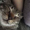 素敵な里親様が見つかりました。