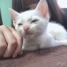 しもぢ