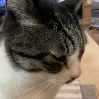 おはぎ