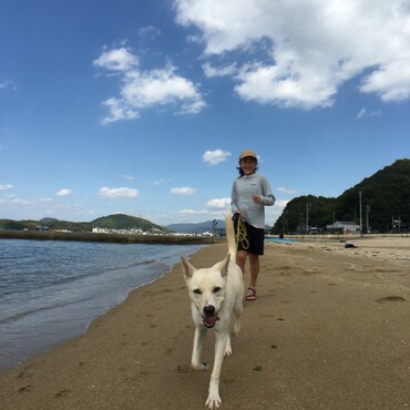 の写真