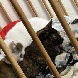 あれから更に時が過ぎ、、