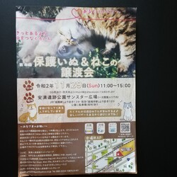 第4回 保護いぬ&ねこの譲渡会