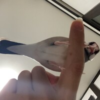 つくね