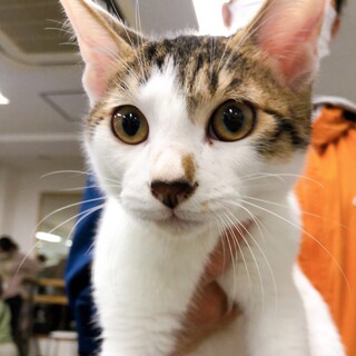 11/29西千葉☆元気いっぱい♡「ピースくん」