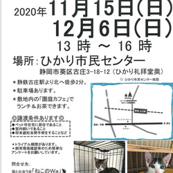 ねこのWa猫譲渡会　静岡市葵区
