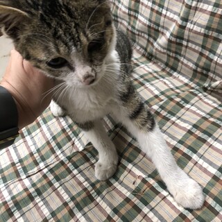 ハンデのある子です。