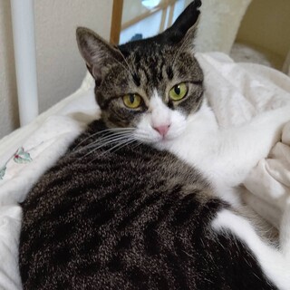 人懐っこい２歳女子りーちゃん