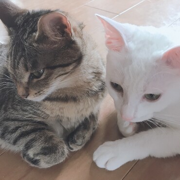 きぃちゃん＆ちぃちゃん
