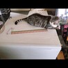 シュウマイ0715さん