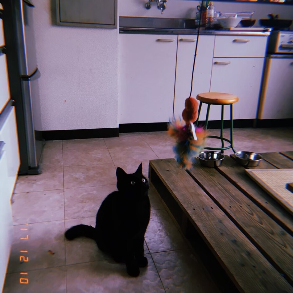 ぐいのカバー写真