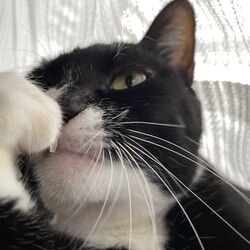 「体重測定　こげ茶さんのせい？」サムネイル2