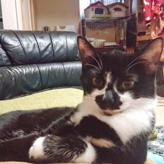 いつも側にいたい女子❤️甘えん坊な 5ヶ月