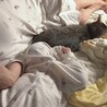 保護猫ちゃんまま さん