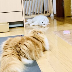 「近況」サムネイル1