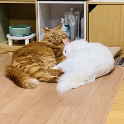 「近況」サムネイル2