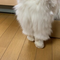 「近況」サムネイル3