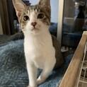 ゴロゴロが止まらないチェスくん♡