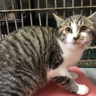 幼さの残る子たち収容に怯えています118