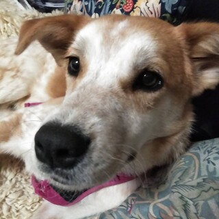 優しい性格の夕陽（ユウヒ）くん★