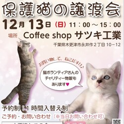 保護猫の譲渡会