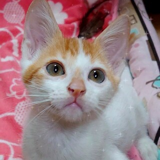 骨折から復活♪のデュラン君