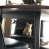 好きな場所は自分で見つけるタイプ
