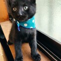 タイラ君　9月24日生まれの男の子