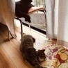 びとまるさん