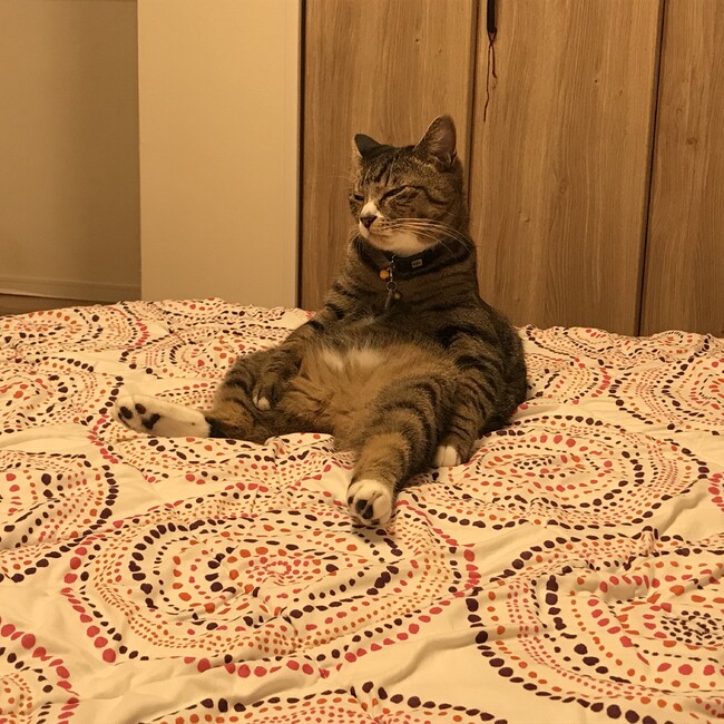 びとまるのカバー写真