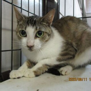 奥ゆかしくて損しちゃう時もあるけど、そこも可愛い❣