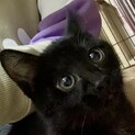 ルーちゃんトライアル中止しました