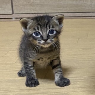 食いしん坊の可愛いまさき君(*^^*)