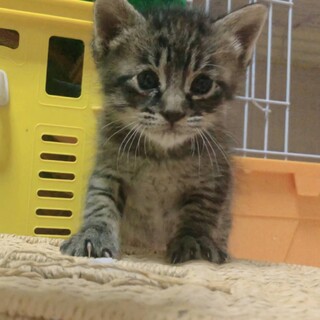 元気いっぱい！ペーター(^O^)トライアル中